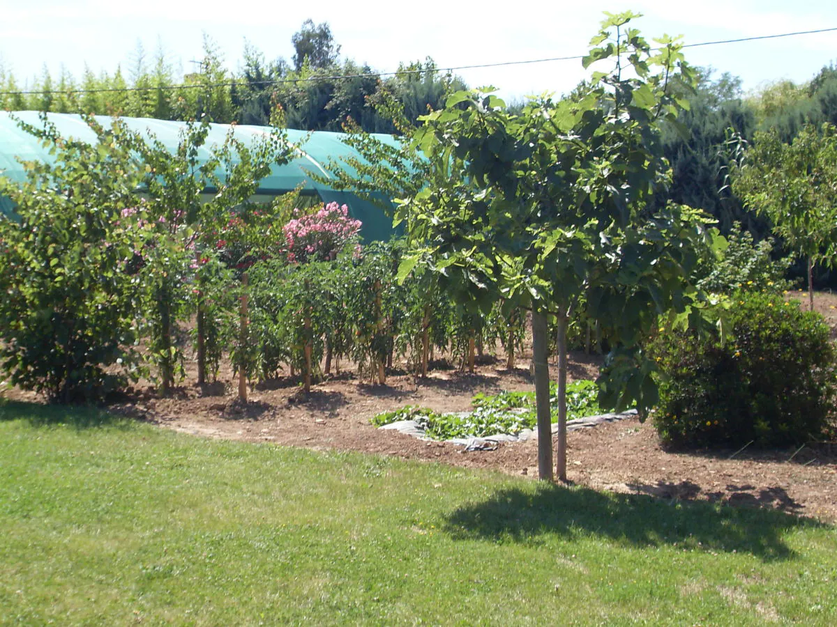 Holiday house Eucalyptus - Outdoor photo 5