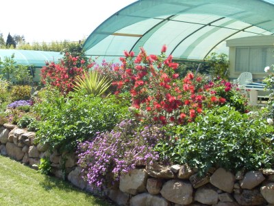 Holiday house Eucalyptus - Outdoor photo 4