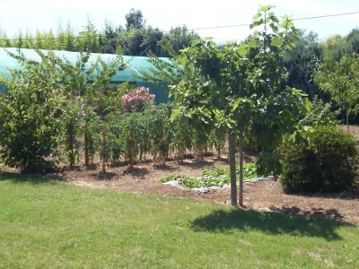 Holiday house Eucalyptus - Outdoor photo 5