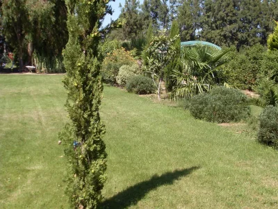 Holiday house Eucalyptus - Outdoor photo 7