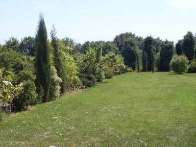 Holiday house Eucalyptus - Outdoor photo 8
