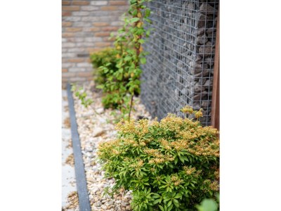 Apartment De Witte Brugh- 't Fennoat - Environment photo 17