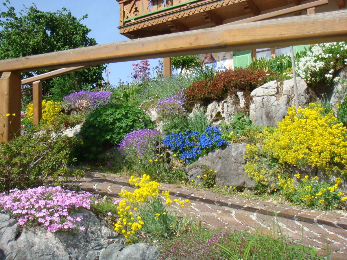 Holiday apartment Schwalbennest - Outdoor photo 5