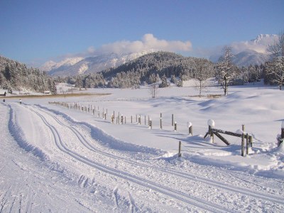 Holiday apartment Schwalbennest - Environment photo 13