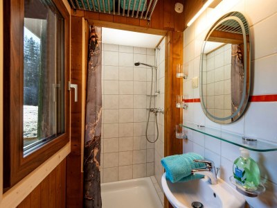 Apartment Hütte "Beizwies" in Hopfgarten im Brixental - Apartment