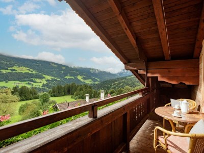 Apartment Appartement/Fewo, Toilette und Bad/Dusche getrennt in Hopfgarten im Brixental - Apartment