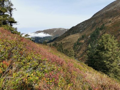 Apartment alleinstehende Berghütte_Winter 6 Personen - Outdoor photo 14
