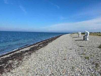 Holiday house Ferienhaus Sturmfrei auf Fehmarn - Environment photo 30