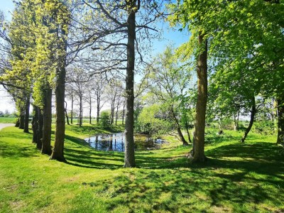 Holiday house Ferienhaus Sturmfrei auf Fehmarn - Environment photo 33
