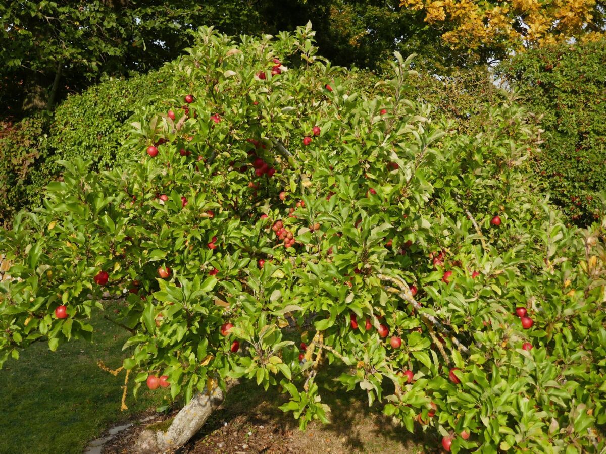 Holiday house Ferienhaus in Fehmarn OT Köpendorf - Outdoor photo 2