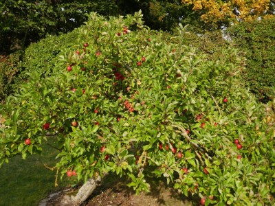 Holiday house Ferienhaus in Fehmarn OT Köpendorf - Outdoor photo 2