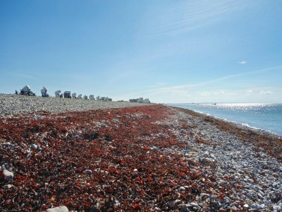 Holiday house Ferienhaus in Fehmarn OT Köpendorf - Environment photo 27