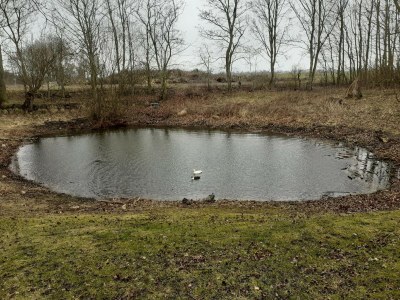Holiday house Ferienhaus in Fehmarn OT Köpendorf - Environment photo 30