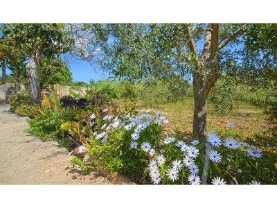 Holiday house Cottage in Búger with Private Pool & Views - Outdoor photo 4