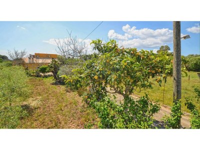 Holiday house Cottage in Búger with Private Pool & Views - Environment photo 28