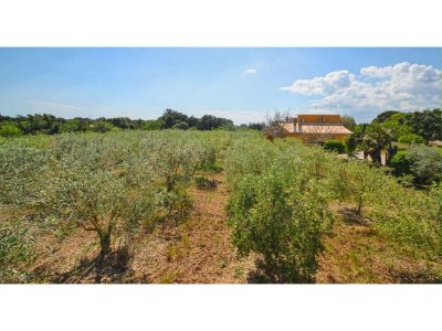 Holiday house Cottage in Búger with Private Pool & Views - Environment photo 29