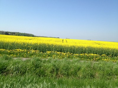 Holiday house Strandhaus Wackerballig - Environment photo 26