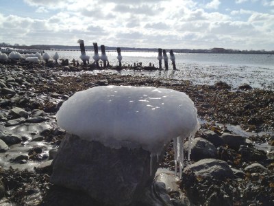 Holiday house Strandhaus Wackerballig - Environment photo 28