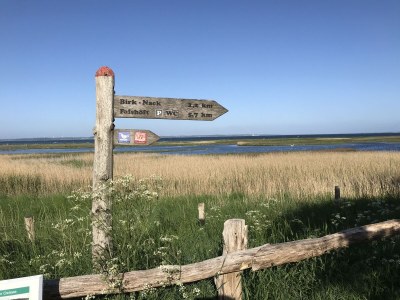 Holiday house Strandhaus Wackerballig - Environment photo 29