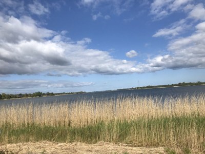 Holiday house Strandhaus Wackerballig - Environment photo 30