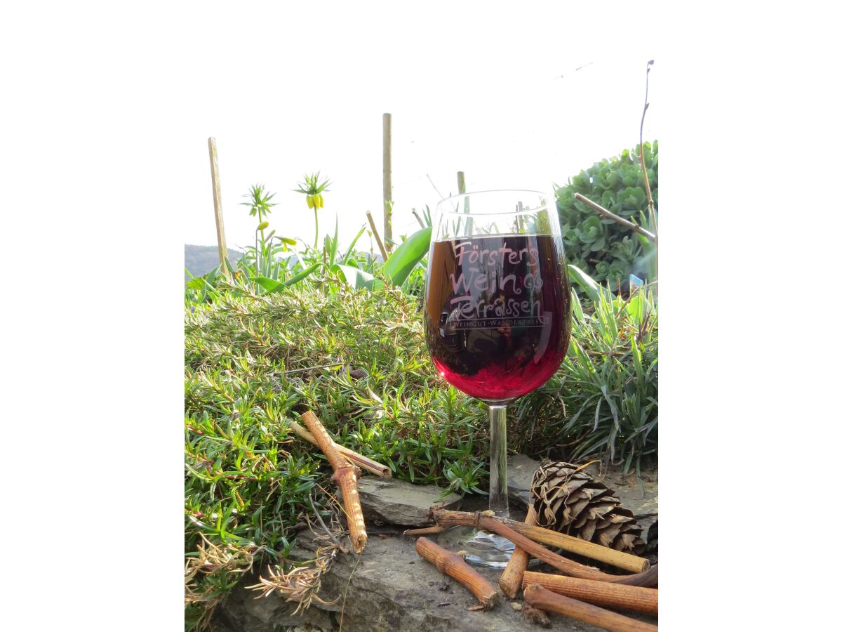 Apartment Ferienwohnung Wippermann - Outdoor photo 3