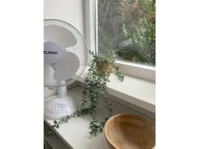 Holiday apartment Duin - Features photo 20