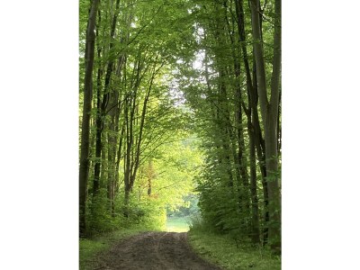 Holiday apartment Duin - Environment photo 25