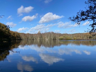 Holiday apartment Duin - Environment photo 31