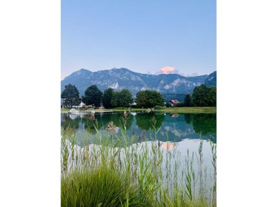 Holiday apartment Tannensuite Inzell - Environment photo 26