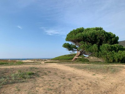 Holiday park Ferienpark auf Korsika mit Terrasse - Environment photo 19