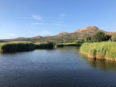 Holiday park Ferienpark auf Korsika mit Terrasse - Environment photo 26