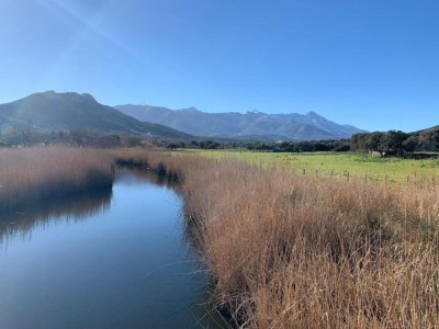 Holiday park Ferienpark auf Korsika mit Terrasse - Environment photo 27