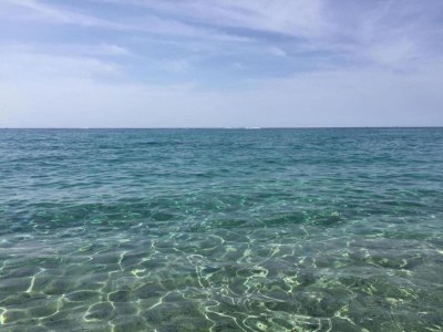 Holiday park Ferienpark auf Korsika mit Terrasse - Environment photo 28