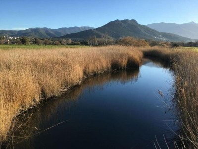 Holiday park Ferienpark auf Korsika mit Terrasse - Environment photo 37