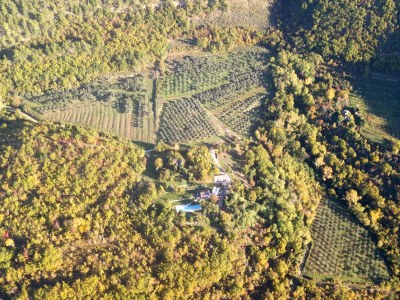 Villa Torrecorta - Environment photo 38