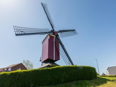 Holiday house Haus am See Sint-Annaland nahe Hafen - Environment photo 35