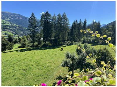 Holiday apartment Apartments Bohrerhof - Outdoor photo 6