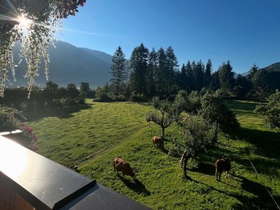 Holiday apartment Apartments Bohrerhof - Outdoor photo 8