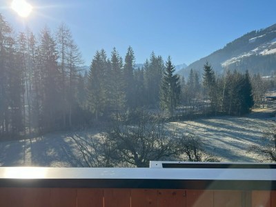 Holiday apartment Apartments Bohrerhof - Environment photo 29