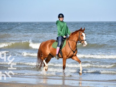 Holiday house Aagtekerke - ZE1447 - Environment photo 25