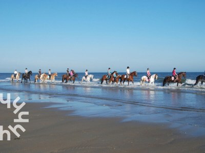 Holiday house Aagtekerke - ZE1447 - Environment photo 26