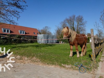 Holiday house Aagtekerke - ZE1447 - Environment photo 27