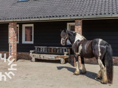 Holiday house Aagtekerke - ZE1447 - Environment photo 29