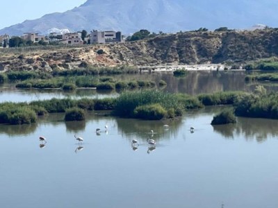 Apartment Wohnung in Garrucha am Strand - Environment photo 41