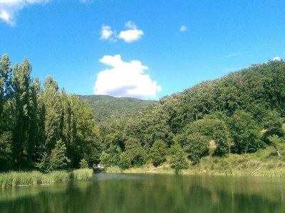 Apartment Chic Apartment with Outdoor Serenity - Environment photo 37