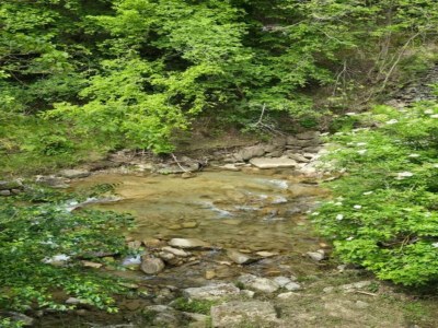 Apartment Chic Apartment with Outdoor Serenity - Environment photo 40