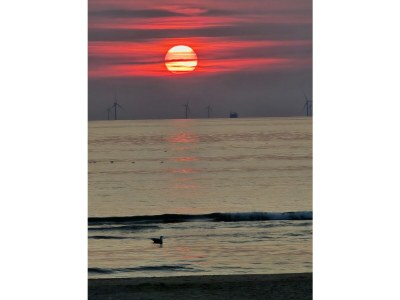 Holiday apartment Thuis in Egmond 17 - Environment photo 18