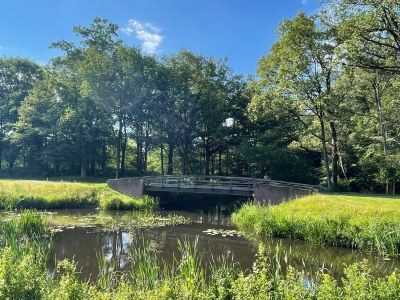 Bungalow Bavelds Home - Denekamp - Environment photo 29