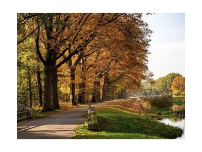 Bungalow Bavelds Home - Denekamp - Environment photo 30