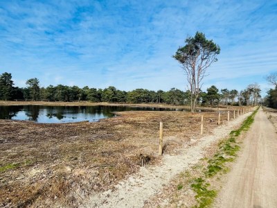 Bungalow Bavelds Home - Denekamp - Environment photo 33